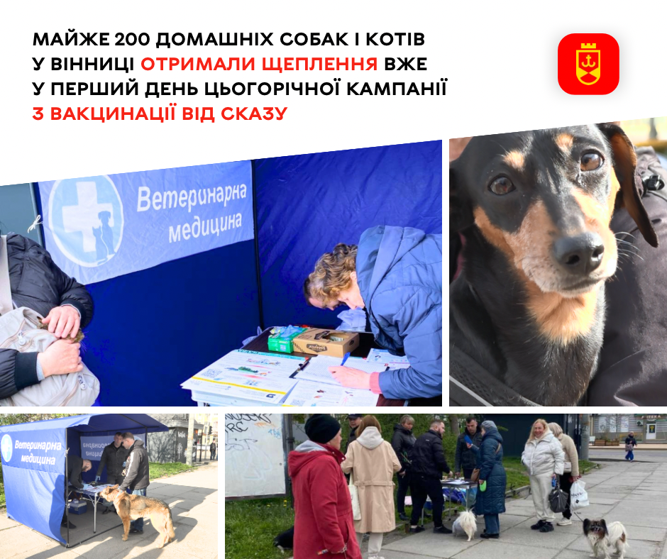 Майже 200 домашніх собак і котів у Вінниці отримали щеплення вже у перший день цьогорічної кампанії з вакцинації від сказу